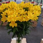 IMG_20231004_110224