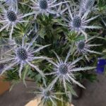 IMG_20231004_110442