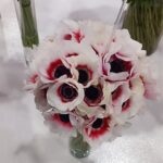 IMG_20231004_113513