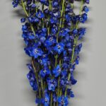 IMG_20251112_083200